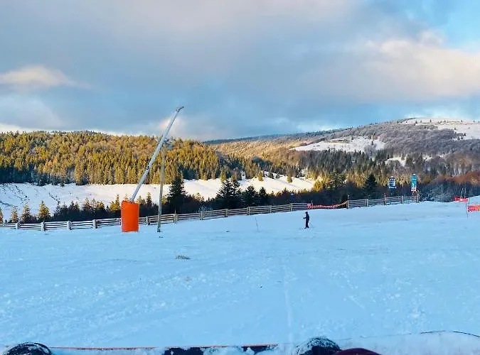 Chalet L'instant 17 Gérardmer